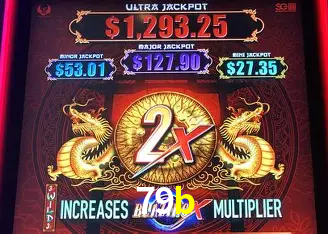 A Emoção da Loteria na 79b: Uma Chance de Mudança de Vida